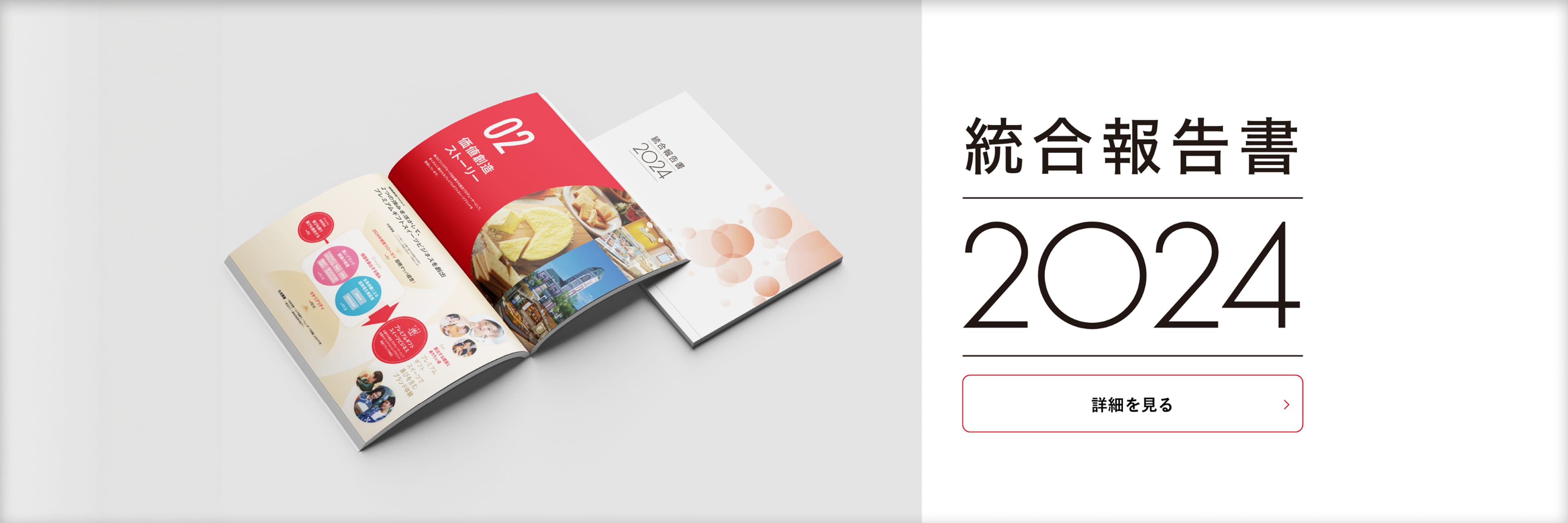 統合報告書